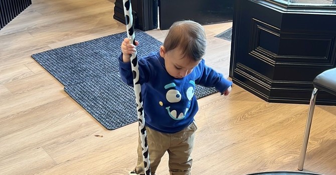 Cleanliness and Infection Control image